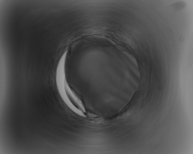 X0000092020720200710041043