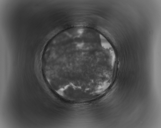 X0000092020721200710041043