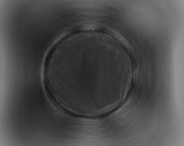 X0000092020722200710041043