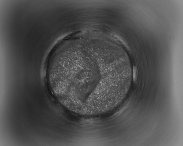 X0000092020723200710041043