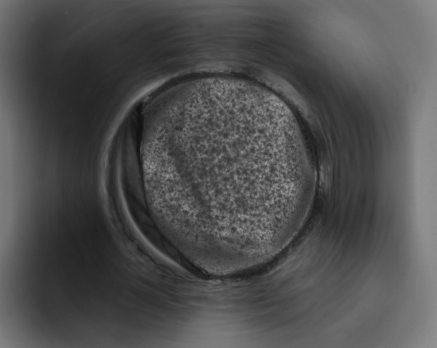 X0000092020724200710041043