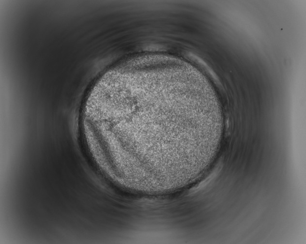 X0000092020725200710041043