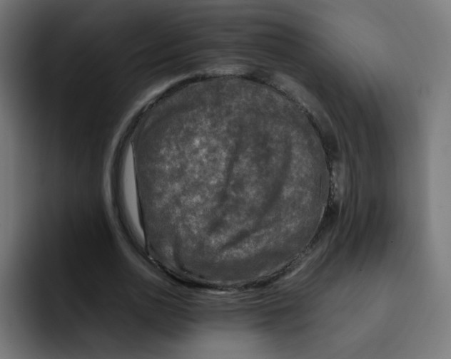 X0000092020726200710041043