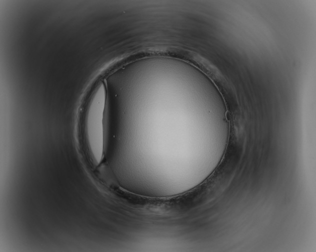 X0000092020728200710041043