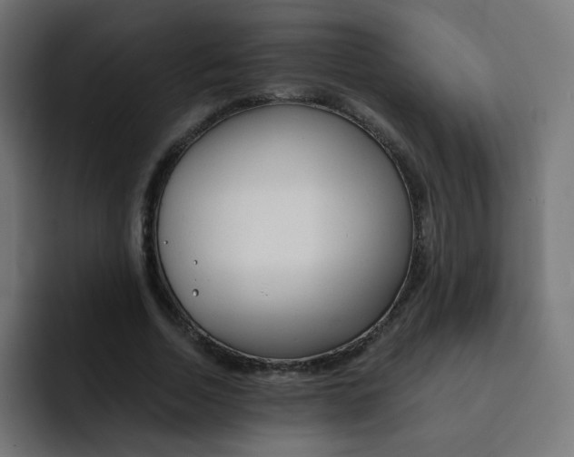 X0000092020730200710041043