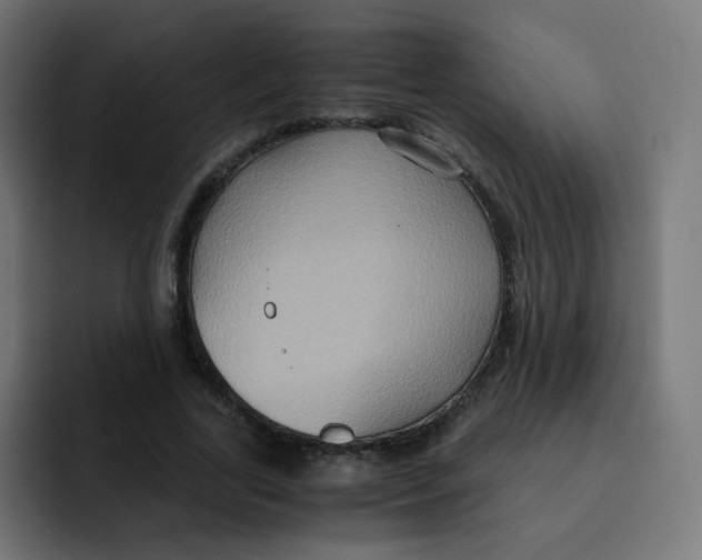 X0000092020731200710041043