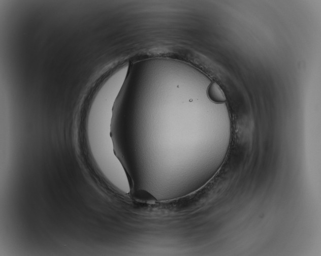 X0000092020732200710041043