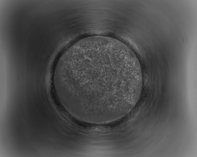 X0000092020736200710041043