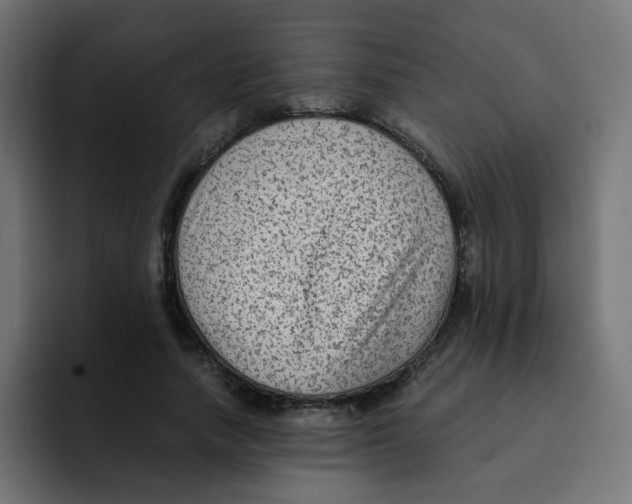 X0000092020738200710041043