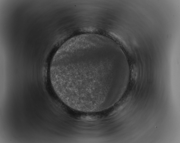 X0000092020739200710041043