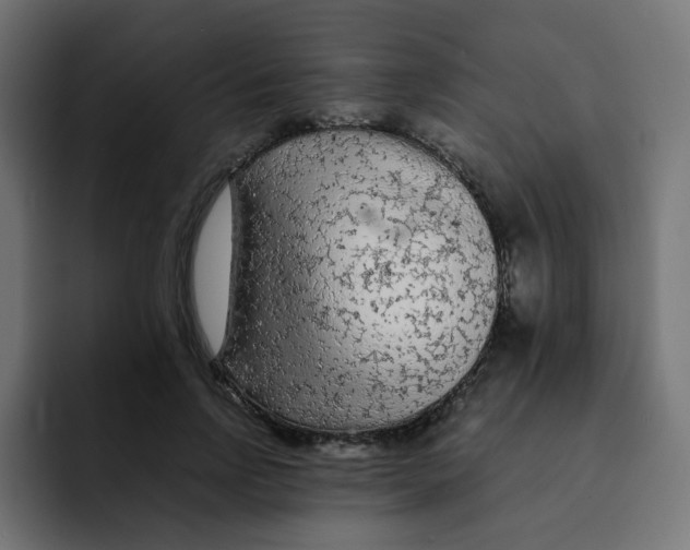 X0000092020742200710041043