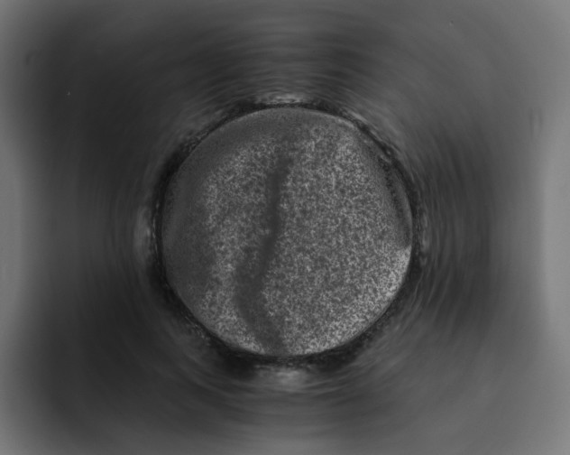 X0000092020743200710041043