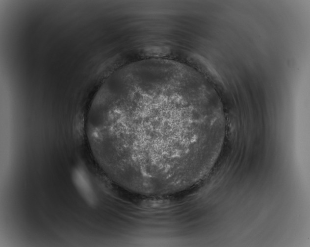 X0000092020745200710041043