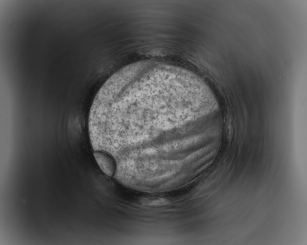 X0000092020747200710041043