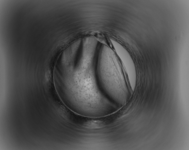 X0000092020748200710041043