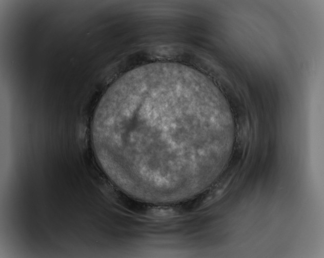 X0000092020749200710041043