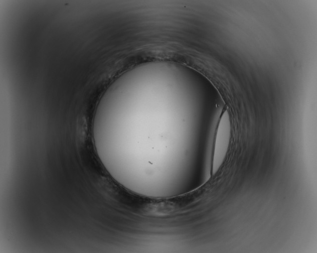 X0000092020752200710041043