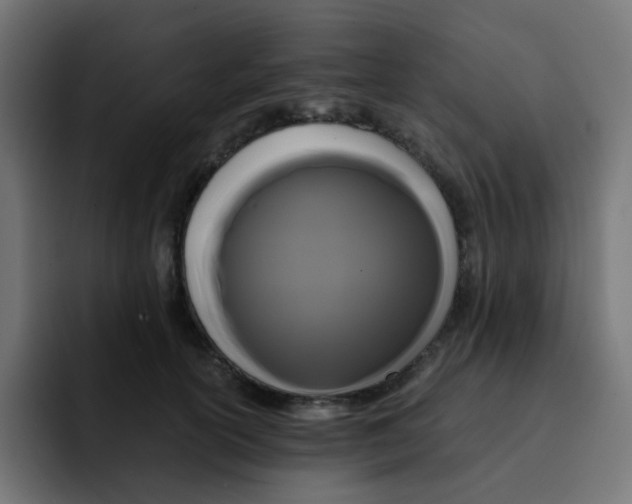 X0000092020754200710041043