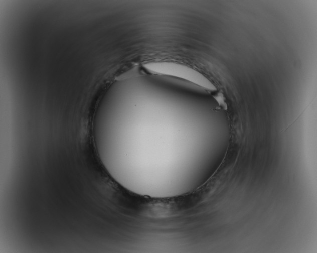 X0000092020756200710041043