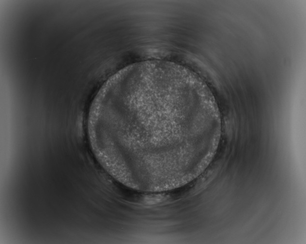 X0000092020757200710041043