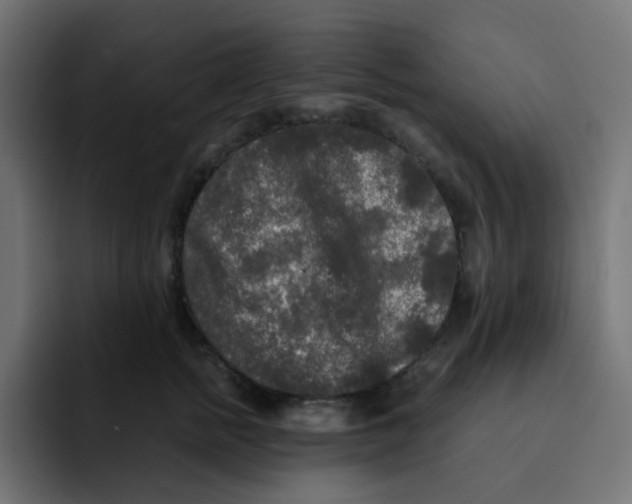 X0000092020758200710041043