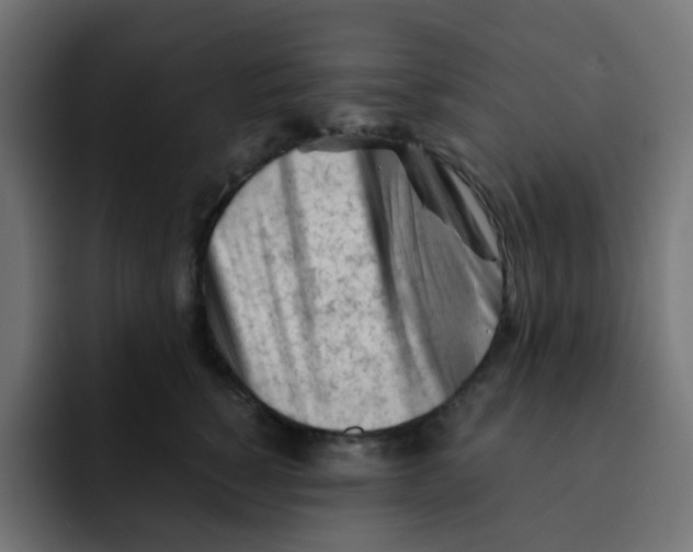 X0000092020760200710041043