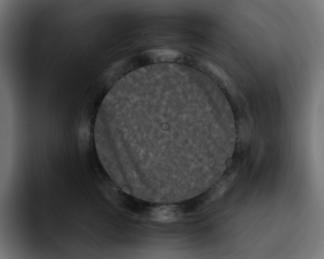 X0000092020761200710041043