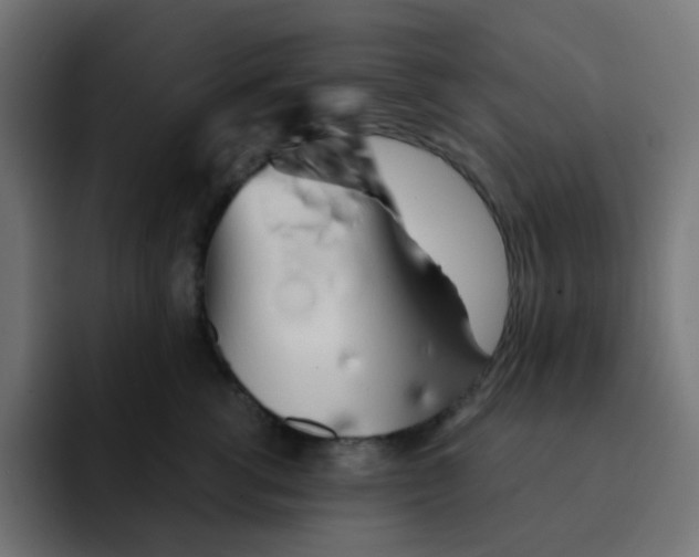 X0000092020762200710041043