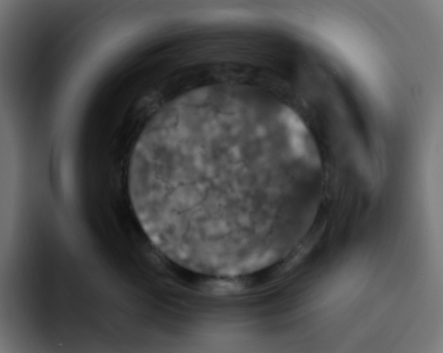 X0000092020765200710041043