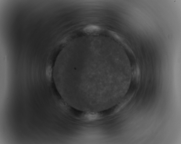 X0000092020767200710041043