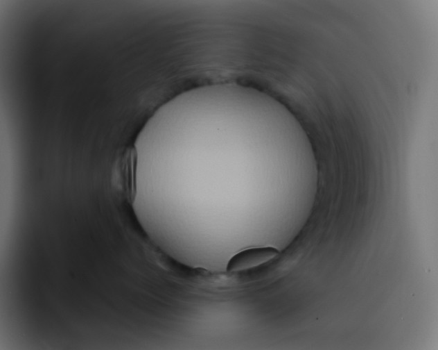 X0000092020768200710041043