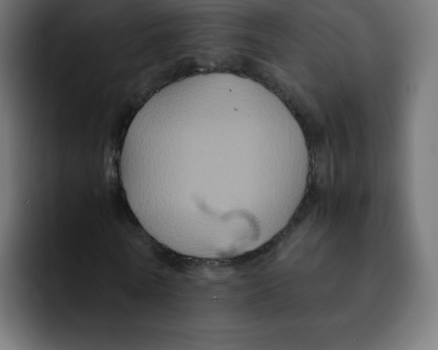 X0000092020770200710041043