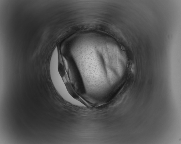 X0000092020771200710041043