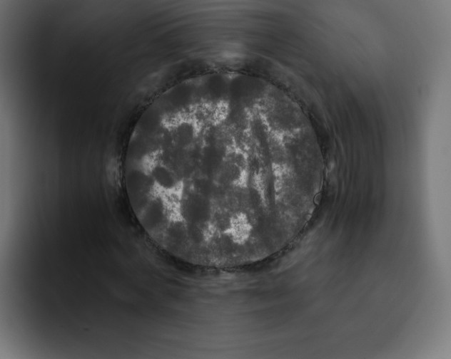 X0000092020772200710041043