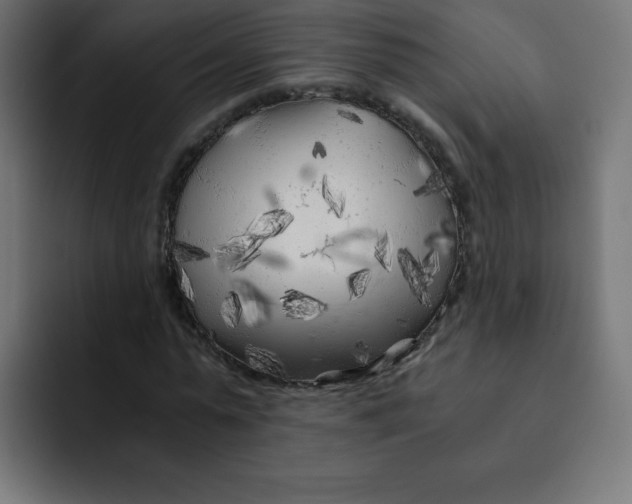 X0000092020775200710041043