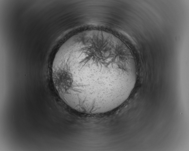 X0000092020776200710041043