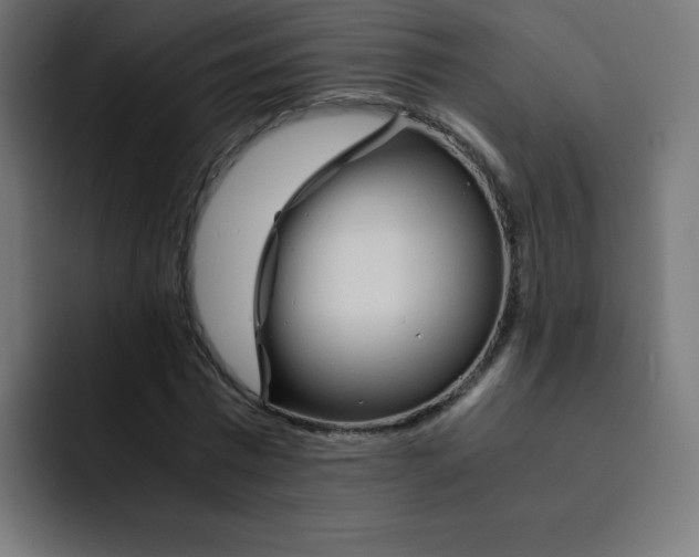 X0000092020777200710041043