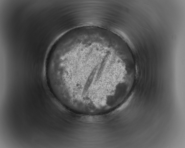 X0000092020780200710041043