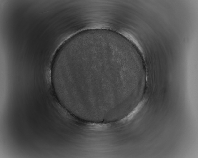 X0000092020781200710041043