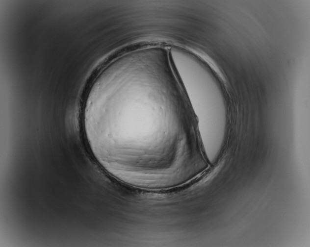 X0000092020783200710041043