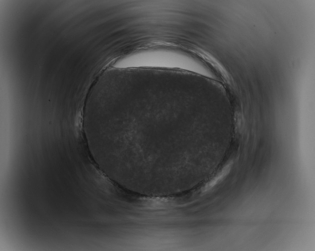 X0000092020785200710041043