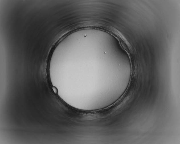 X0000092020786200710041043