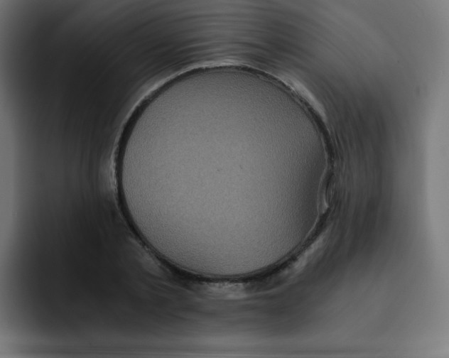 X0000092020789200710041043