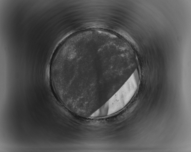 X0000092020790200710041043