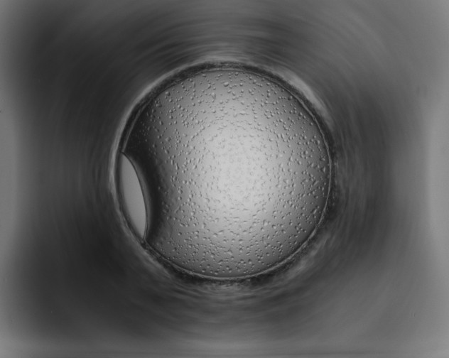 X0000092020791200710041042