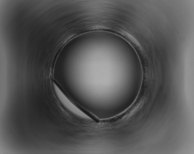 X0000092020793200710041042