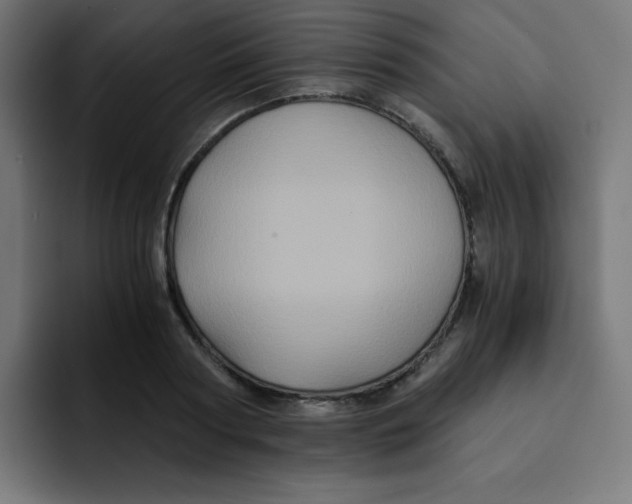 X0000092020794200710041042