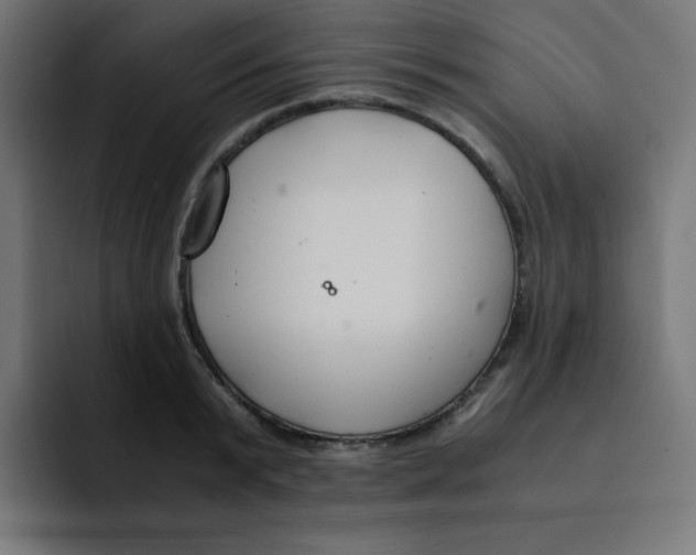 X0000092020799200710041042