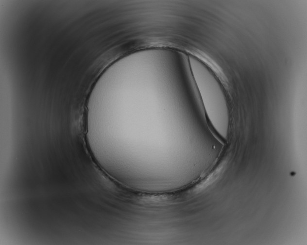 X0000092020801200710041042