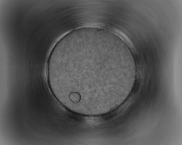 X0000092020804200710041042